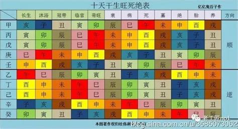 李雙全兒子 地支藏干意思